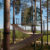 The Mirrorcube, una original casa en el árbol de Tham & Videgård Architects para Treehotel
