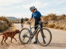 Qué hacer si un perro te persigue en bicicleta: guía de seguridad y prevención