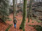 Ruta de la Hoz del Arroyo Marín en otoño: cañones, pinares y naturaleza pura